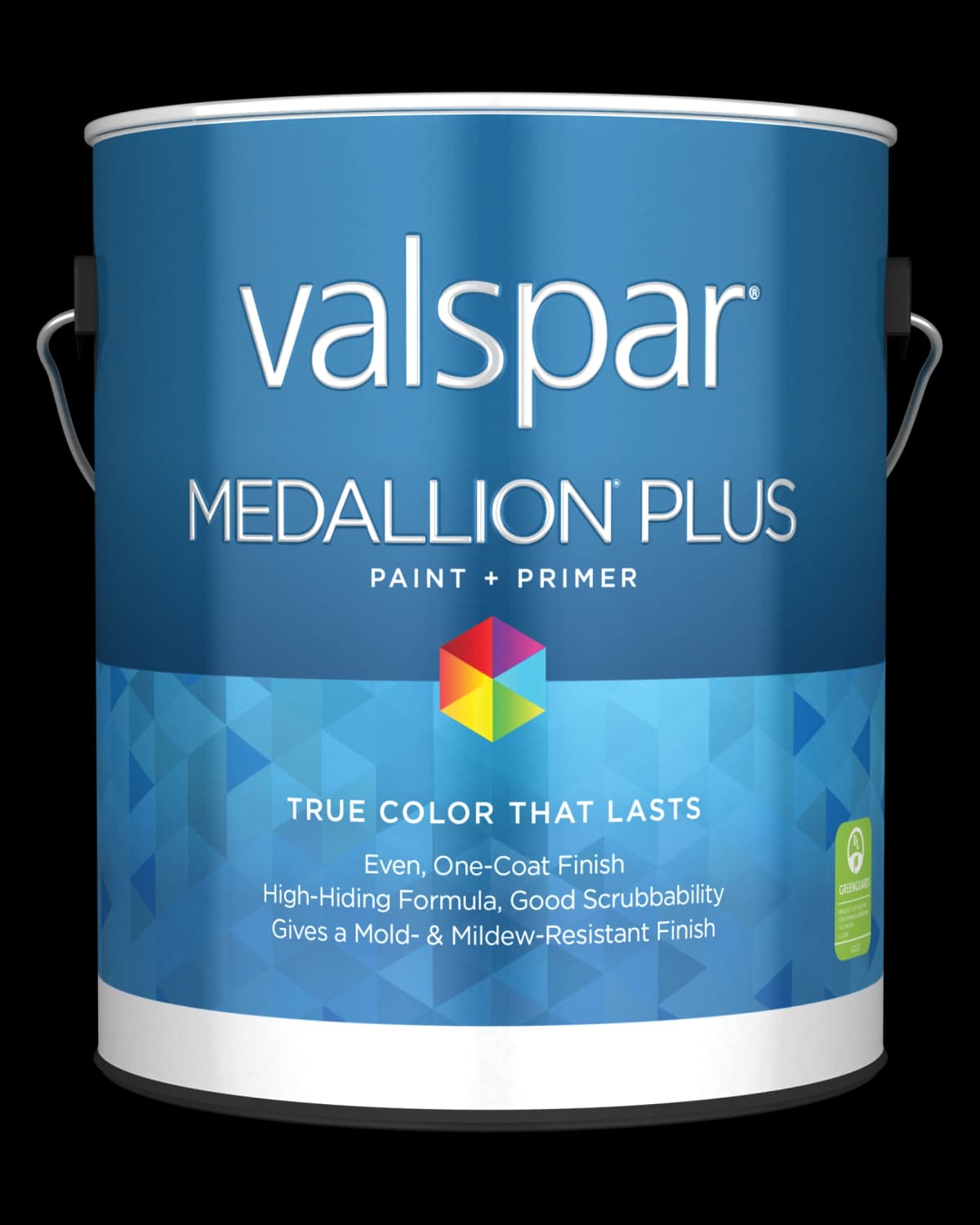 Valspar Medallion Plus Paint + Primer can